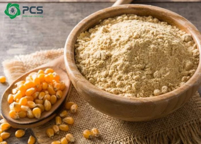 cách diệt kiến đen trong nhà